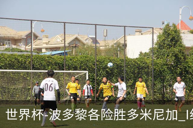 世界杯-波多黎各险胜多米尼加 I组4队均3胜1负
